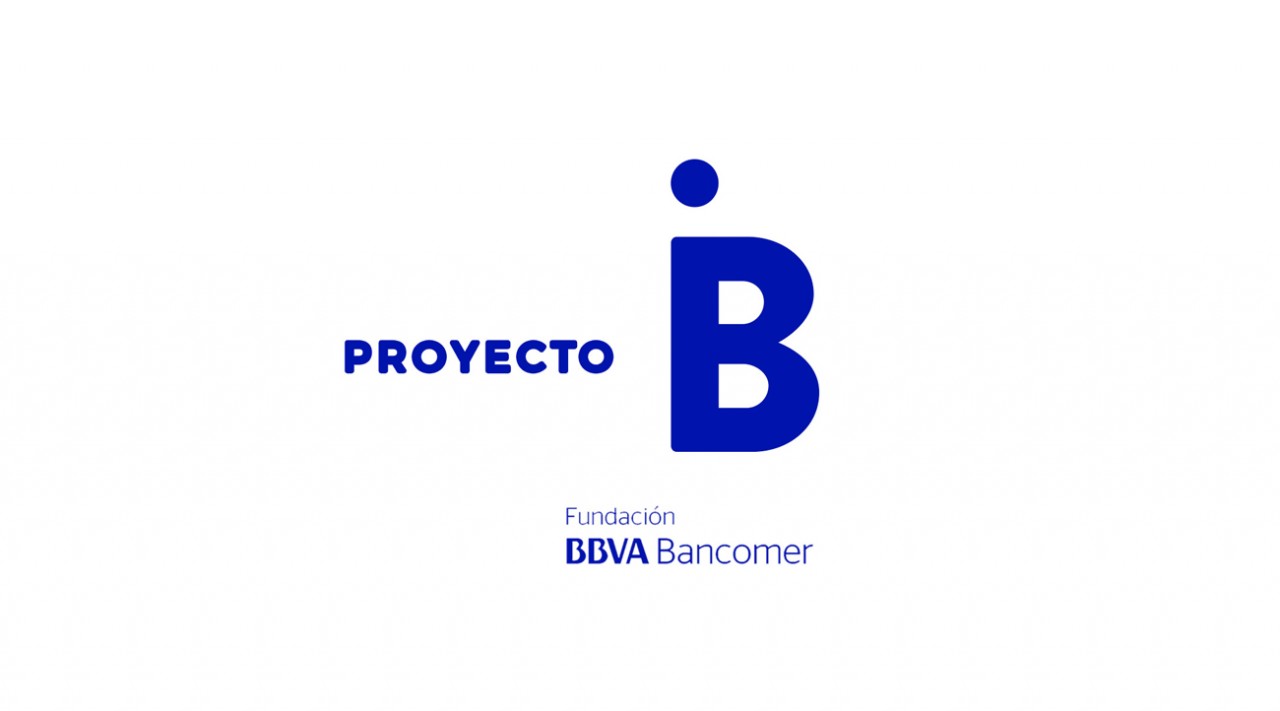 B-PROYECT-1